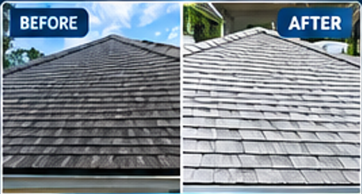 Roof Washing Before and After
