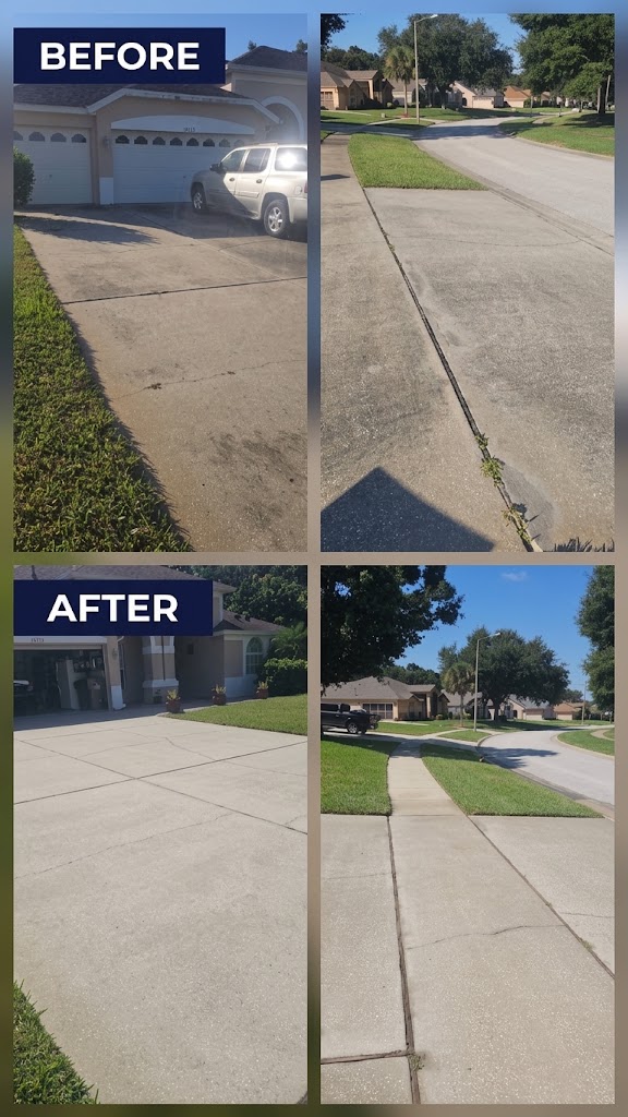 Pressure Washing Project 12