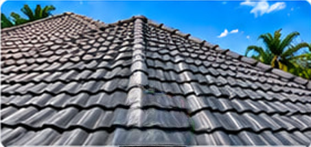 Roof Cleaning
